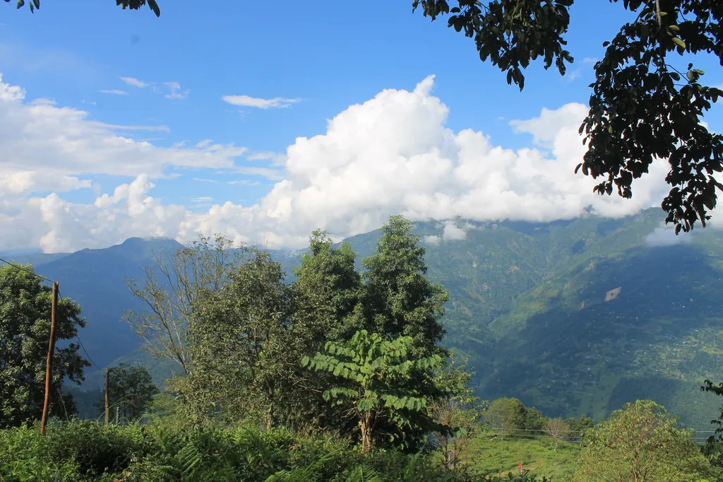 Kolakham Picture