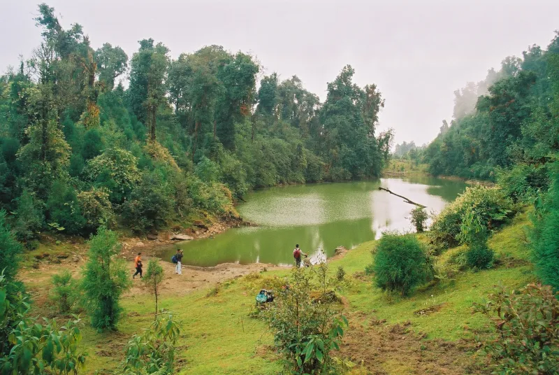 Neora Valley Forest