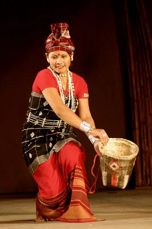 Bodo Traditional Dress - Bibar