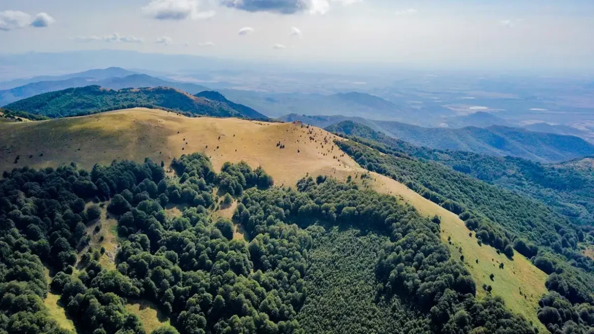 Mandalpatti Peak Coorg